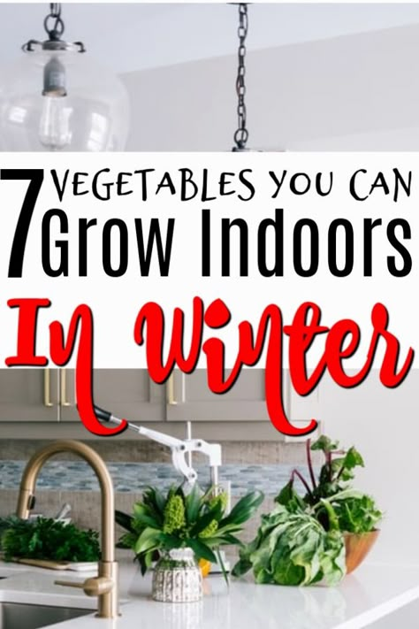 Growing Winter Vegetables, Growing Vegetables Indoors, Garden Prepping, Winter Veggies, Indoor Farming, Indoor Vegetables, Winter Gardening, Grow Food, Indoor Vegetable Gardening