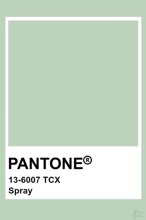 Pantone Green, Pantone Color Chart, Pantone Swatches, Pantone Palette, Pantone Colour Palettes, Paint Color Palettes, Color Chip, Color Analysis, Colour Board