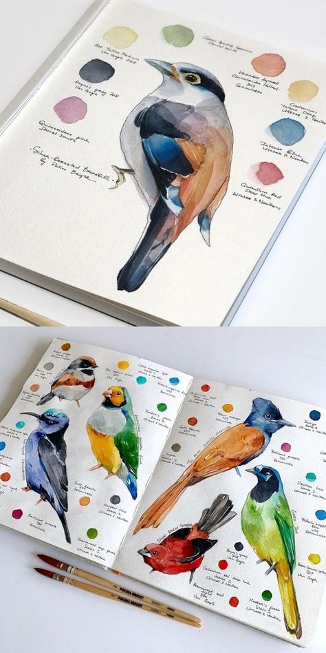 Nature Sketchbook, Kunstjournal Inspiration, Birds Illustration, رسم كاريكاتير, Gcse Art Sketchbook, Watercolor Birds, 수채화 그림, Watercolor Art Lessons, Ink Drawings