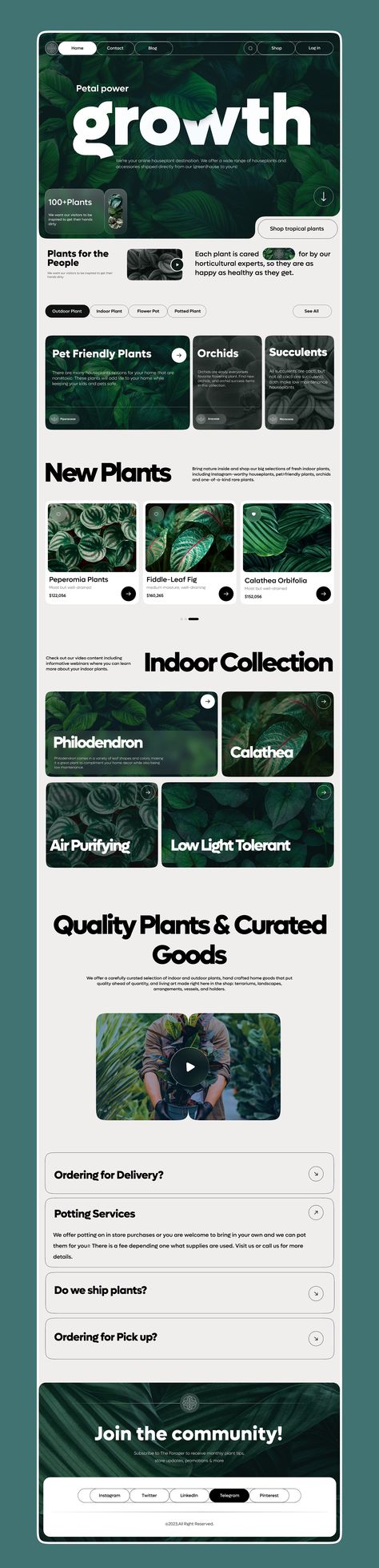 Plant shop landing page🌱 designed by Zahra Mohammadi for Pela Design. Connect with them on Dribbble; the global community for designers and creative professionals. Green Web Design Inspiration, Landing Pages Ui, Community Web Design, Plant Web Design, Recycling Website Design, Green Landing Page, Website Creative Design, Sustainable Website Design, Dark Green Website