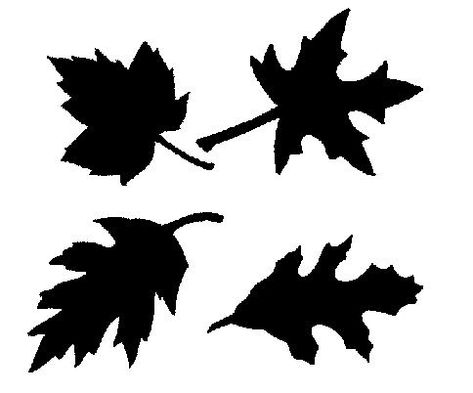 Fall Leaves Free SVGs Cricut Scrapbooking, Leaf Svg, Free Svgs, Leaf Silhouette, Image Nature, Vinyl Decor, Silhouette Stencil, Silhouette Ideas, Free Svg Files