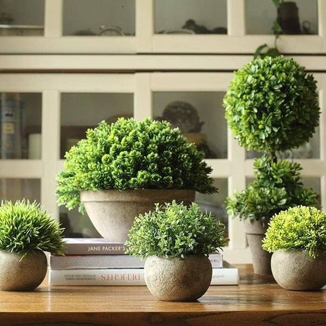 The Best Places To Buy Fake Plants Online Artificial Plant Arrangements, Boxwood Plant, Ginger Lily, Topiary Plants, Artificial Plants Indoor, Planting Pot, Boxwood Topiary, Artificial Boxwood, Topiary Trees