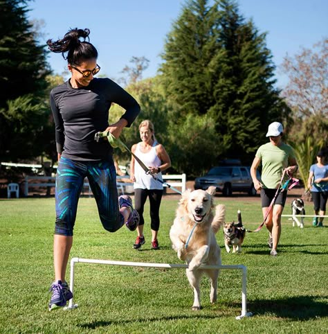 Here are 52 ways to experience San Diego with your four-legged friend Dog Festival, Pet Garden, Park Games, Baseball Park, Guide To, Pet Spaces, Dog Garden, Working Dog, Dog Yoga