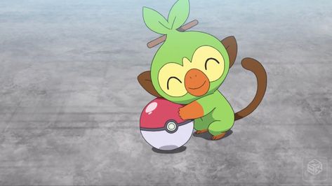 Grookey Pokemon, Widget Wallpaper, Grass Type Pokemon, Cloth Painting, Pokemon Mewtwo, Grass Type, Pokemon Collection, Pokemon Stuff, Pokemon Memes