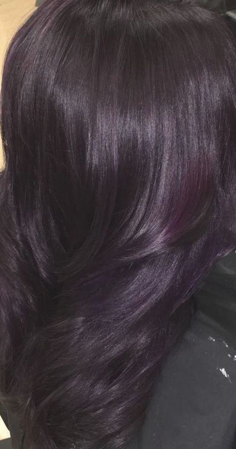 29 Dark Purple Hair Colour Ideas to Suit any Taste in 2019Dark Purple Hair Colour Ideas Coloring in a unique color is a great way to make yourself knownThis option is suitable for youngseekingnatureABluePurple Purple Hair Colour Ideas, Purple Tinted Hair, Violet Black Hair, Purple Hair Colour, Dark Violet Hair, Purple Black Hair, Dark Purple Hair Color, Purple Brown Hair, Blue Purple Hair