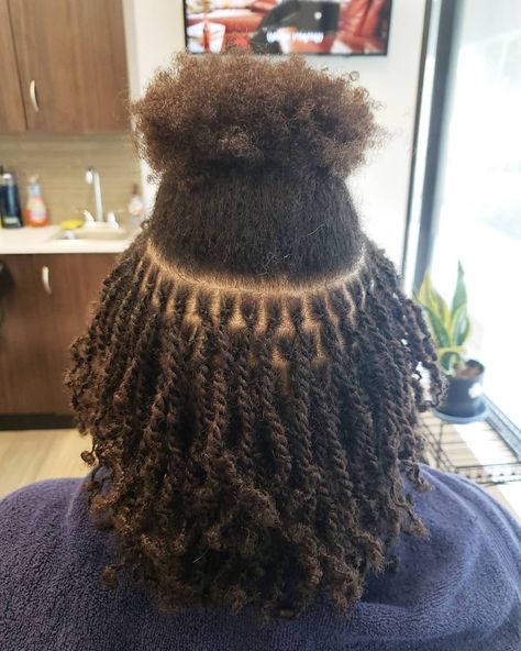 loc count • Instagram Loc Count, Loc Sizes, 100 Locs, Locs Ideas, Protective Hairstyles, Locs, Natural Hair, Hair Inspiration, Natural Hair Styles