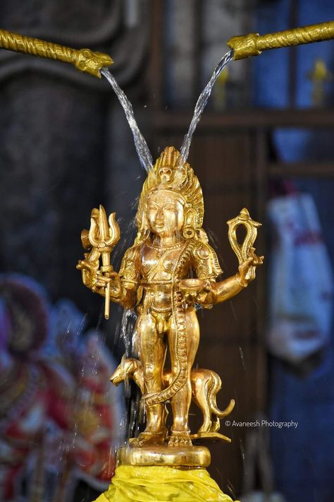 Bairavar Lord Hd, Kalabhairava Hd Images, Kala Bairavar Images Hd, Bairavar Images, Kala Bhairava Images, Kalabhairava Images, Hindu Aesthetics, Hindu Sculpture, Kala Bhairava