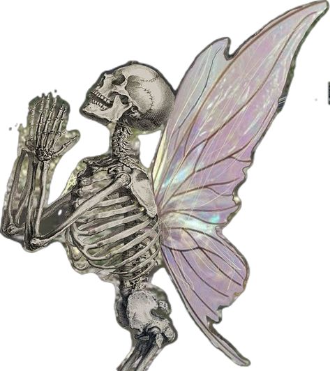 Skeletons With Wings, Skull Butterfly, Skeleton With Fairy Wings, Butterflies And Skulls, Skeleton With Fairy Wings Meme, Skeleton