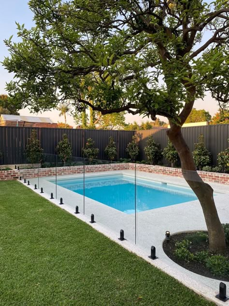 Fencing Ideas Australia, Pool Fence Ideas, Garden Pool Design, Backyard Pool Design, Glass Pool Fencing, Outdoor Pool Area, Pool House Plans, Fencing Ideas, Pool Landscape Design