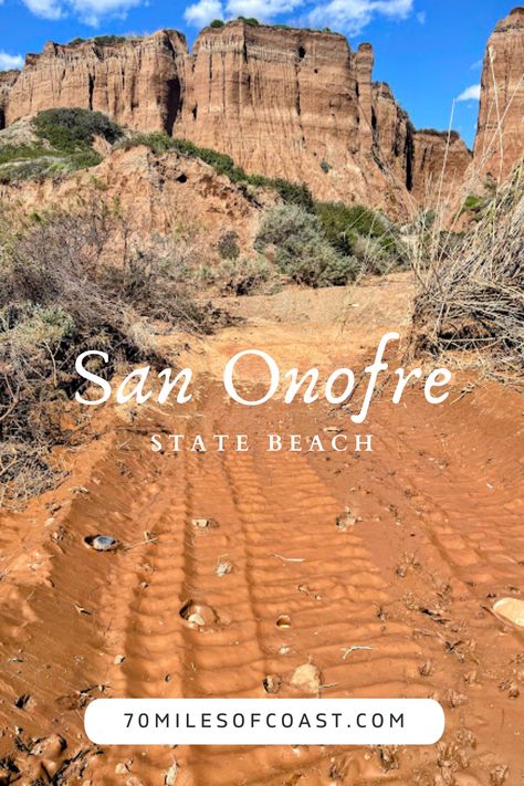 Come with me to explore the natural wonders of San Onofre State Beach, my favorite place in San Diego County! #SanOnofreStateBeach #SanOnofre #SanOnofreBluffsCampground #TrestlesBeachTrail #NativePlants #Surfing #Camping #Hiking #Nature #SouthernCalifornia #California #Bluffs #Ocean #CoastalSageScrub #SanDiego #NorthCountySanDiego #SanClemente #PanheNatureTrail #Trestles #Hiking #NatureTrail #SouthernCalifornia #California #Acjachemen #Beach #Surfing #OldMans #Geology #Bluffs #Surfing San Onofre Beach, San Onofre, Beach Surfing, Hiking Nature, San Diego Beach, Come With Me, San Clemente, Beach Camping, San Diego County