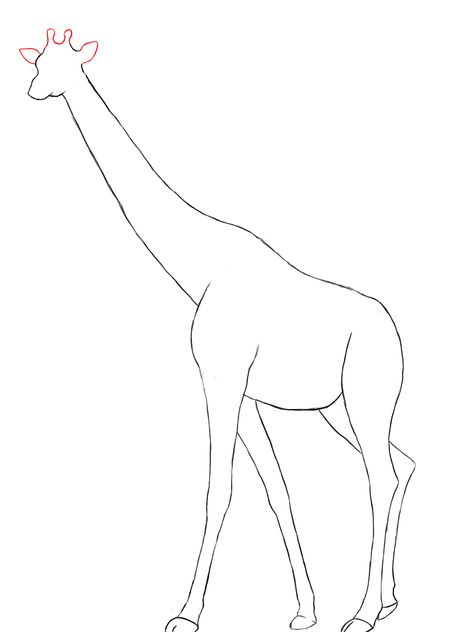 Giraffe template Eraser Drawing, Base Head, Shapes Drawing, Giraffe Drawing, Drawing Legs, Watercolor Paintings Of Animals, Giraffe Head, Draw Easy, Draw Two