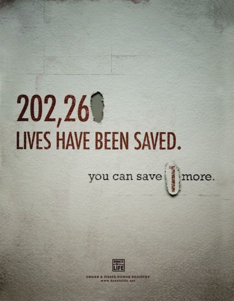 Organ Donation Quotes, Organ Donation Poster, Donation Poster, Donation Quotes, Government Website, Donate Life, Organ Donor, Organ Donation, Communication Art