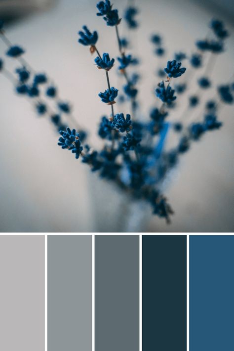 Winter Color Aesthetic, Blue Tone Color Palette, Color Plattes Aesthetic, Formal Color Palette, Colure Pallet, Color Plattes, Style Tips And Tricks, Cold Colors, Cool Color Palette