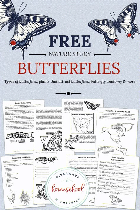 FREE Butterfly Unit Study - Homeschool Giveaways Facts About Flowers, Butterfly Unit Study, Butterfly Anatomy, Butterfly Study, Insect Unit, Butterflies Activities, Writing Printables, Unit Studies Homeschool, Love Butterflies