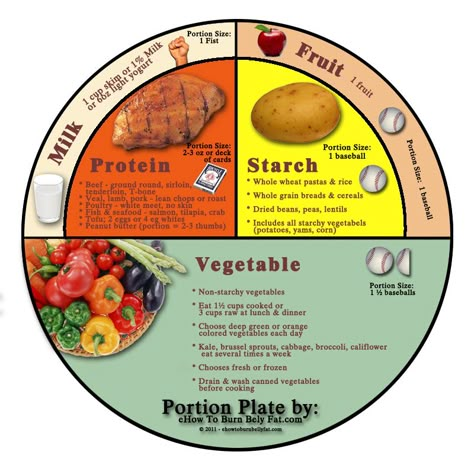 The ideal portion plate Portion Plate, Pasta Bread, Balanced Plate, Sandwich Lunch, Bread Sandwich, Healthy Plate, Pizza Sandwich, Resep Diet, Pasta Food