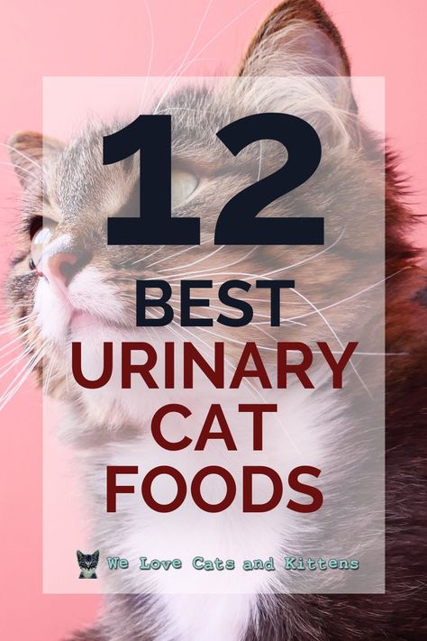 Well, are you noticing weird behavior in your cat lately? Has she been peeing around the house or refuses to use her litter box? Whether your feline is suffering from urinary health issues or she is at a greater risk of developing it due to her age, specially formulated urinary cat foods can reduce the risk, promote faster healing, and provide relief from the discomfort. Here we review the best cat food for urinary crystals to help you choose the right one for your kitty. Homemade Cat Food For Urinary Health, Homemade Urinary Cat Food, Cat Health Remedies, Cat Food Station, Healthy Cat Food, Pets Stuff, Cat Health Problems, Homemade Cat Food, Cat Food Brands