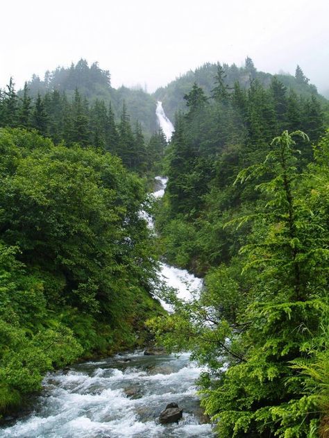 Fairy Places, Forest Island, Royalty Dr, Changing Aesthetic, Southeast Alaska, Dr Aesthetic, Background References, Tongass National Forest, Conservation Of Natural Resources