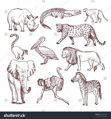 Hand drawn illustrations of african animals #Ad , #AFFILIATE, #drawn#Hand#illustrations#animals Mammals Activities, Africa Drawing, Animal Line Drawings, Colored Pencil Drawing Ideas, Easy Animal Drawings, Kindergarten Art Projects, Pencil Drawing Ideas, Africa Animals, Drawing Ideas Creative