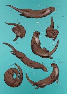 Sealife Drawing, Otter Drawing, Otter Tattoo, Otter Illustration, Otter Art, Tier Tattoo, 강아지 그림, Desenho Tattoo, Sea Otter