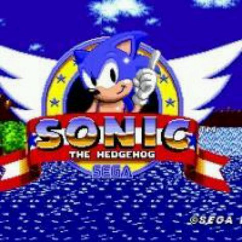 Classic Hedgehog Game, Games To Play With Kids, Company Of Heroes, Game Sonic, Sonic Mania, Sega Mega Drive, Bd Comics, Shadow The Hedgehog, Devil May Cry