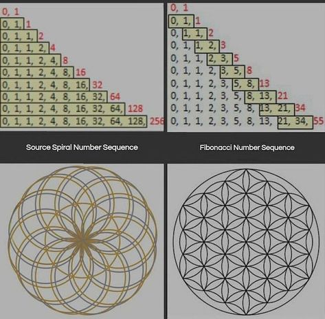 Flower Of Eternal Life, Lotus Of Life Sacred Geometry, Eternal Lotus Of Life, Eternal Life Symbol, Eternal Life Lotus, Flower Of Life Meaning, Keylontic Science, Ashayana Deane, Sacred Geometry Meanings