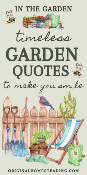 Timeless Garden Quotes: To Make You Smile Planting Seeds Quotes, Gardening Quotes Inspirational, Seed Quotes, Garden Poems, Growing Quotes, Gardening Humor, Growing Gardens, Garden Quotes, Garden Journal