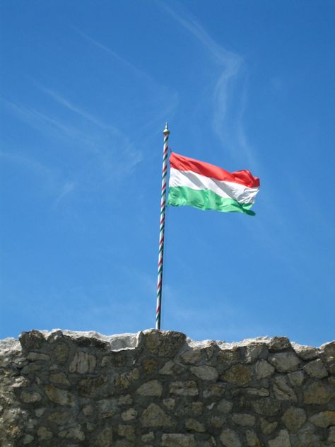 Hungarian flag. Hungary Aesthetic, Hungarian Flag, Disease Quote, Hungary Flag, Military Flag, Brazil Flag, Alan Jackson, Alan Walker, Central Europe