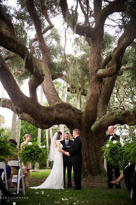 Ribault Club Wedding | Amy & Chris 42 Ribault Club Wedding, Wedding Ceremony Ideas, North Florida, Ceremony Ideas, Club Wedding, Florida Wedding, Gorgeous Wedding, Custom Wedding, Wedding Colors