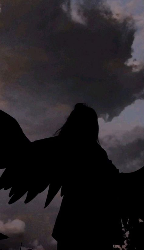 Angel Shadow Aesthetic, Person With Wings Aesthetic, Avian Human Aesthetic, Wings Astethic, Black Wings Aesthetic, Wings Aesthetics, Shadow Angel, Winged Character, Chb Cabins