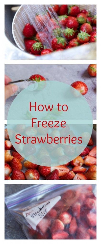 How to properly freeze strawberries whole Fruit Prep, Freeze Strawberries, Freezing Strawberries, Mixed Berry Pie, Freezing Fruit, Homesteading Tips, Strawberry Season, Strawberry Picking, Freeze Dried Strawberries