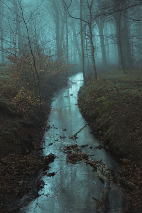 Environment Inspiration, Arte Viking, Dark Naturalism, Dark Forest Aesthetic, Camera Aesthetic, Foggy Forest, Witch Aesthetic, Deep Forest, Alam Yang Indah