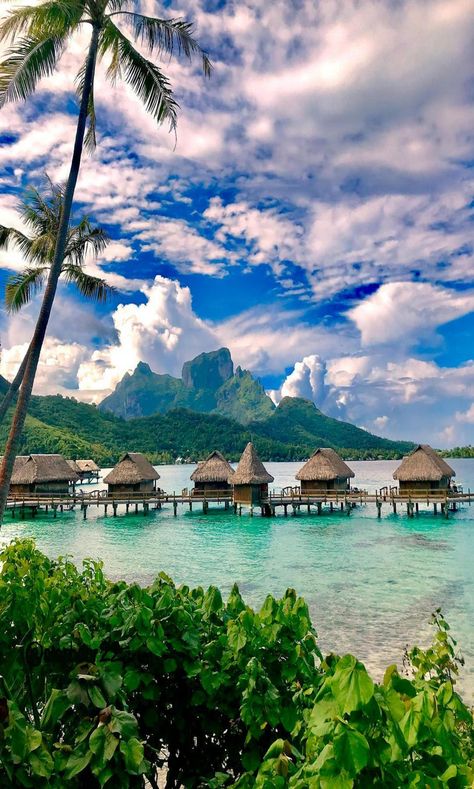 bora bora Bora Bora Astethic, Bora Bora Wallpaper, Bora Bora Aesthetic, Trip To Bora Bora, Bora Bora Island, Fiji Travel, Tropical Nature, Sea Resort, Dream Vacations Destinations