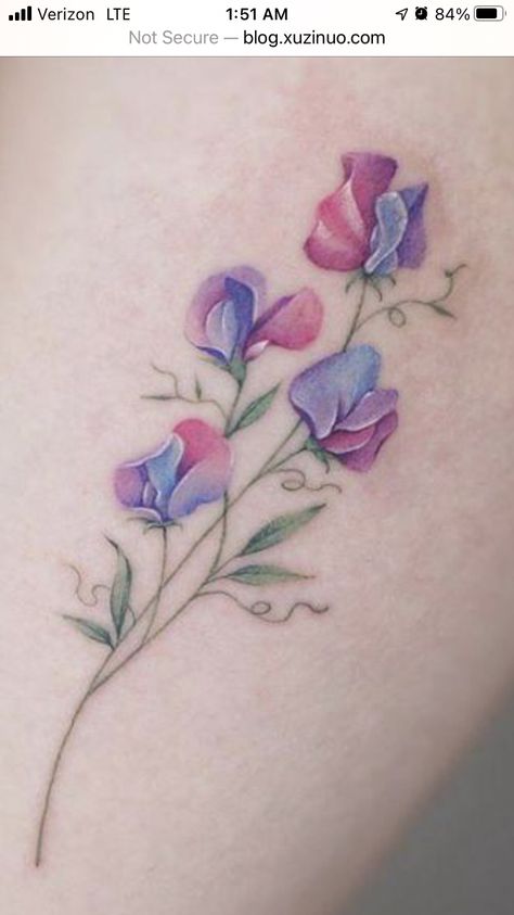 Snowdrop And Sweet Pea Tattoo, Sweet Pea And Morning Glory Tattoo, Sweet Pea Flower Tattoos, Sweet Pea And Rose Tattoo, Tattoo Sweet Pea, Sweet Pea Wrap Around Tattoo, Sweatpea Tattoos, Sweet Pea Vine Tattoo, Sweet Pea Floral Tattoo