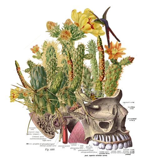 collage-9-2 Travis Bedel, Dna Art, Botanical Collage, Surreal Collage, Colossal Art, Collage Artwork, Beautiful Body, Collage Artists, Art And Illustration