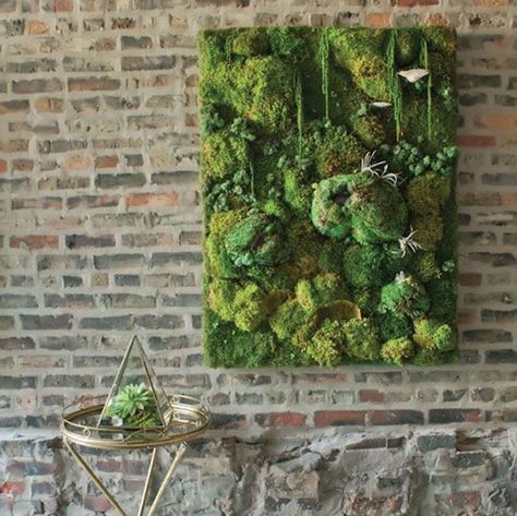 Air Plants Diy, Living Wall Art, Moss Covered, Moss Wall Art, Moss Garden, Walled Garden, Moss Art, Moss Wall, Garden Terrarium