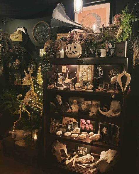 Goth Vintage Room, Cryptidcore Room Aesthetic, Dark Artsy Bedroom, Skull Collection Display, Oddity Shop Aesthetic, Goth Boho Decor Bedroom, Oddity Room, Bong Decorating Ideas, Dark Boho Aesthetic