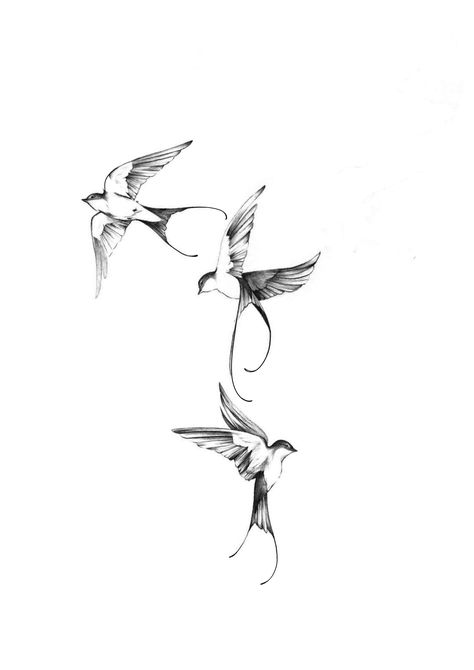 Three Swallows Tattoo, Minimal Bird Tattoo, Fine Line Bird Tattoo, Golondrinas Tattoo, 3 Birds Tattoo, Bird Tattoo Design, Swallow Tattoo Design, Swallow Birds, Vogel Tattoo