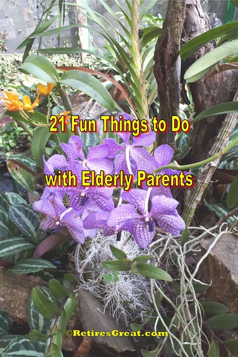 Things To Do With The Elderly, Activities To Do With Grandparents, Fun Things To Do With Grandma, Things To Do With Elderly People, Things To Do With Grandma, Things To Do With Your Grandma, Things To Do With Grandparents, Activities For Elderly, Grandma Activities