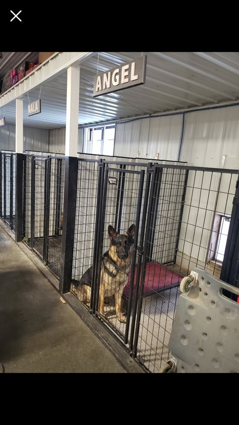 Dog Breeder Kennel Ideas, Dog Kennel Inside, Dog Breeders Kennels, Hotel Pet, Dog Kennel And Run, Building A Dog Kennel, Cheap Dog Kennels, Dog Boarding Ideas, Dog Boarding Facility