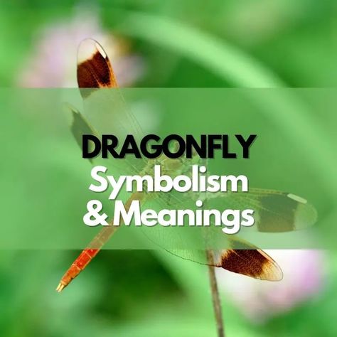 Dragonfly: Symbolism, Meanings, and History Dragonfly Tattoo Meaning, Dragonfly Meaning, Dragonfly Symbolism, Meaning Symbols, History Symbol, Dragonfly Tattoo, Tattoo Meaning, Beauty And Grace, Yellow Eyes