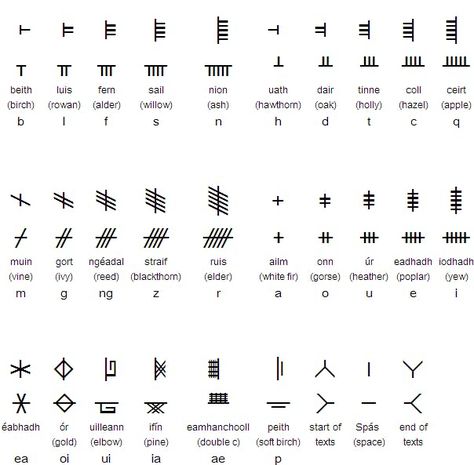 Ogham Tattoo, Tree Alphabet, Celtic Ogham, Celtic Symbols And Meanings, Irish Tattoo, Celtic Alphabet, Ogham Alphabet, Ancient Irish, Ancient Alphabets