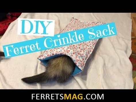 Diy Ferret Stuff, Carpet Shark, Fabric Toys Diy, Ferret Ideas, Ferret Diy, Ferret Care, Ferret Toys, Ferret Stuff, Ferrets Care