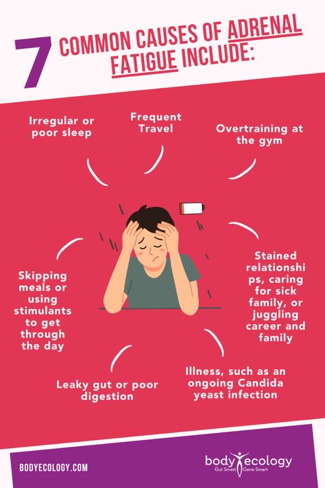 ⚡️ Unveiling the 7 Common Causes of Adrenal Fatigue! ⚡️ Explore the informative article on the Body Ecology website that sheds light on the prevalent triggers behind adrenal fatigue symptoms. Educate yourself and take proactive steps towards reclaiming your vitality. Find the valuable insights here: 🔗✨ #AdrenalFatigueAwareness #EmpowerYourWellness Symptoms Of Adrenal Fatigue, Signs Of Adrenal Fatigue, Care Meals, Adrenal Exhaustion, Congenital Adrenal Hyperplasia, Candida Yeast Infection, Adrenal Fatigue Symptoms, Fatigue Symptoms, Adrenal Health