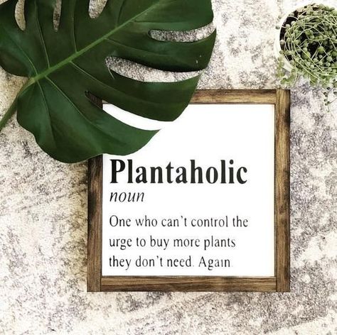 Plant Shopping Quotes, Indoor Plants Quotes, Plant Shop Name Ideas, Plant Mom Quotes, Cute Plant Quotes, Plant Lover Quotes, Plant Signs Diy, Plant Lady Aesthetic, Plant Lover Aesthetic