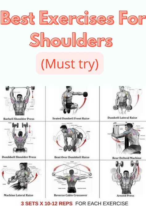 Best Shoulders exercises Best Exercises For Shoulders, Shoulder Press Dumbell, Shoulder Dumbbell, Exercises For Shoulders, Shoulder Dumbbell Workout, Barbell Shoulder Press, Go To Gym, Dumbbell Shoulder Press, Best Shoulder Workout