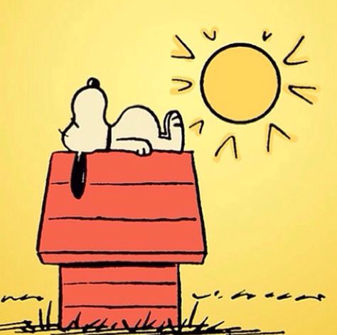 It's A Beautiful Day!!! Snoopy Sayings, Sunny Day Quotes, Peanut Pictures, Snoopy Holiday, Good Morning Snoopy, Charlie Brown And Friends, Woodstock Snoopy, Snoopy Dog, Brown And Friends