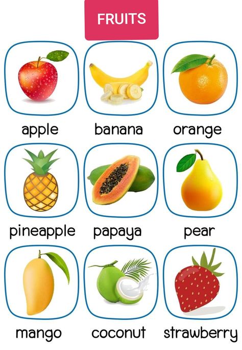 Fruits #fruits vocabulary # fruits name English Learning Books, English Activities For Kids, Kids Worksheets Preschool, Fruits For Kids, Learning English For Kids, English Phonics, Dry Fruit, English Worksheets For Kids, Flashcards For Kids