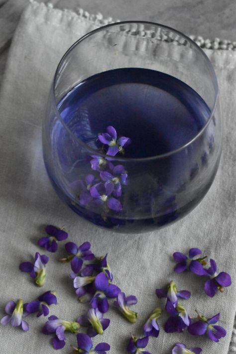 Beautiful Blue Tea with Foraged Violets | indie herbalist Edible Roots, Spring Salads, Tea Blends Recipes, Spring Treats, Blooming Tea, Jewish Food, Foraged Food, Violet Plant, Tea Plant