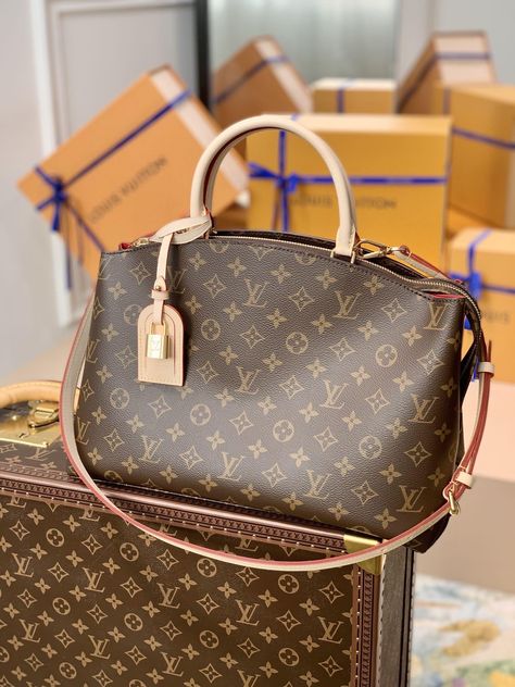 Louis vuitton monogram bag