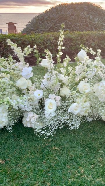 Ground Installation Wedding, Ground Wedding Arch, Wedding Ground Arch, Baby Breath Arch Wedding, Babies Breath Arch, Ground Arch Wedding, Grounded Arch, Baby's Breath Wedding Arch, Baby’s Breath Arch Wedding